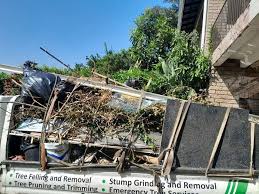 Best Attic Cleanout  in Meade, KS